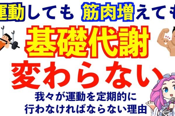 【ダイエット必須知識】基礎代謝を上げる方法。筋トレと有酸素運動の効果の違い。筋肉増えても代謝に関係ないです。