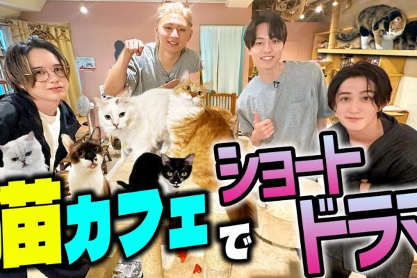 HiHi Jets【猫カフェでショートドラマ】主演は猫🐈…⁉️