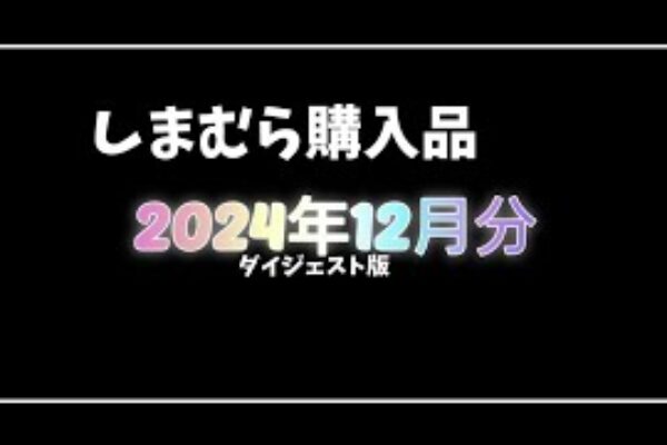 【しまむら購入品紹介】ダイジェスト版　2024年12月分 Honeys  Availも少しあり♪