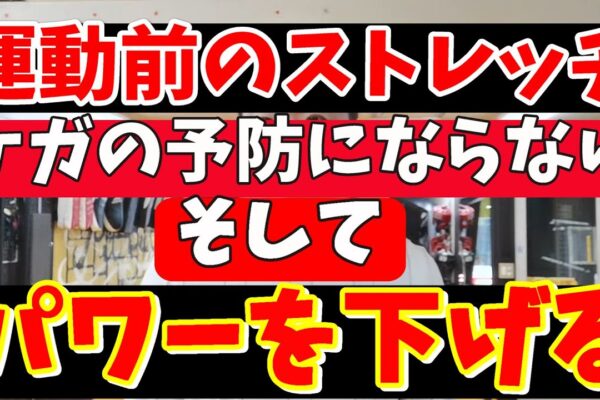 運動前のストレッチは要らない上に、パフォーマンスを下げる。しかし、筋トレ初心者にはストレッチは筋力を上げる効果がある。